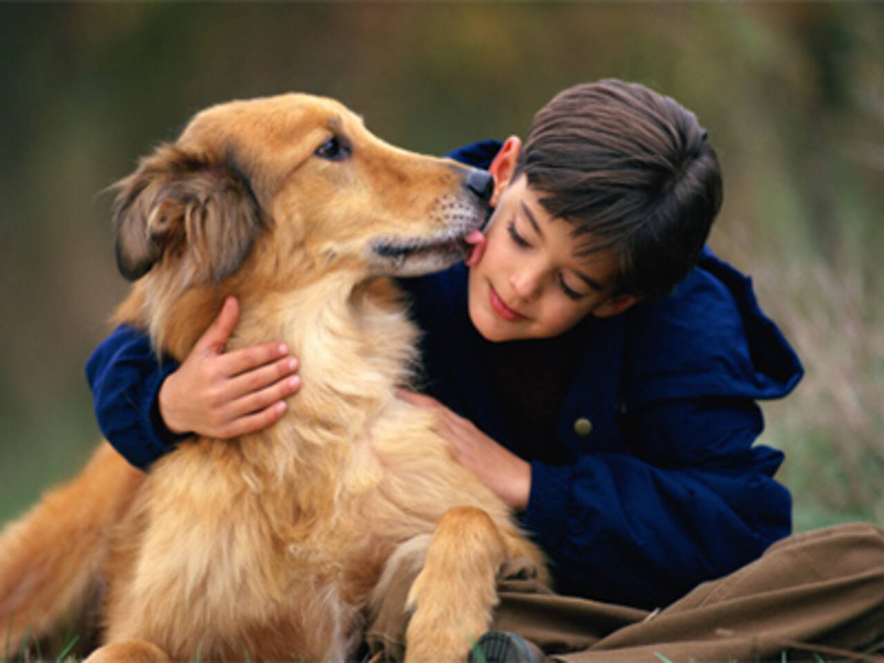 8 Reasons Why Keeping a Pet Is a Good Idea 8 Reasons Why Keeping a Pet Is a Good Idea