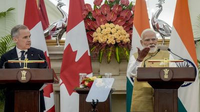 PM condemns Gulf strikes, says working to protect Indians