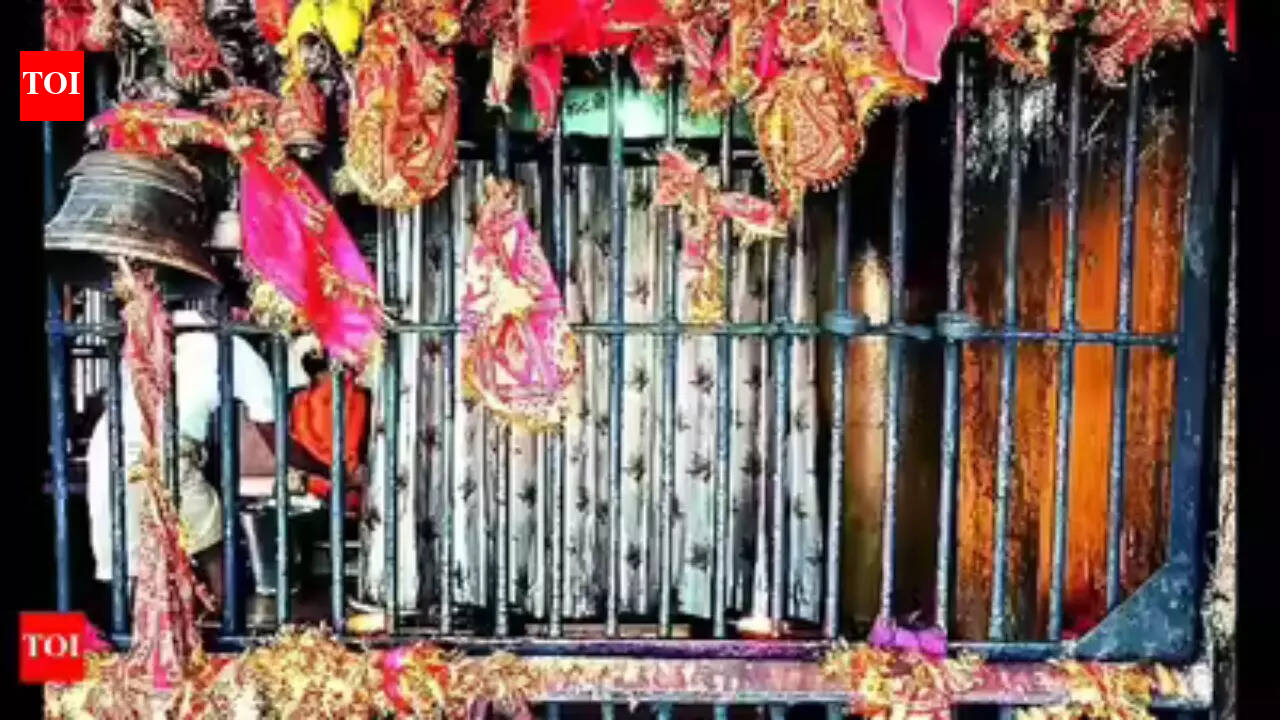 Lunar Eclipse 2026: Why temples are closed and reopening timings