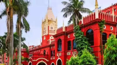 Orissa high court dismisses father's habeas corpus plea for custody of minor son