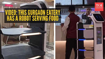  This Gurgaon eatery has a robot serving food – internet reacts