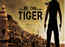 'Only Salman Khan can be Tiger'