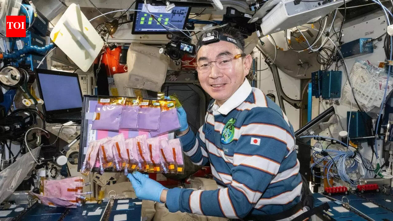 NASA turns the International Space Station into a yoghurt lab to study food for future Mars missions