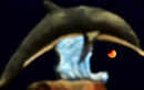 Chennai witnesses partial eclipse at Marina