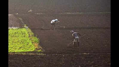 AP govt to extend land-for-land relief to R-1 zone farmers