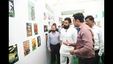 Project Hanuman launched to tackle human-wildlife conflict in AP