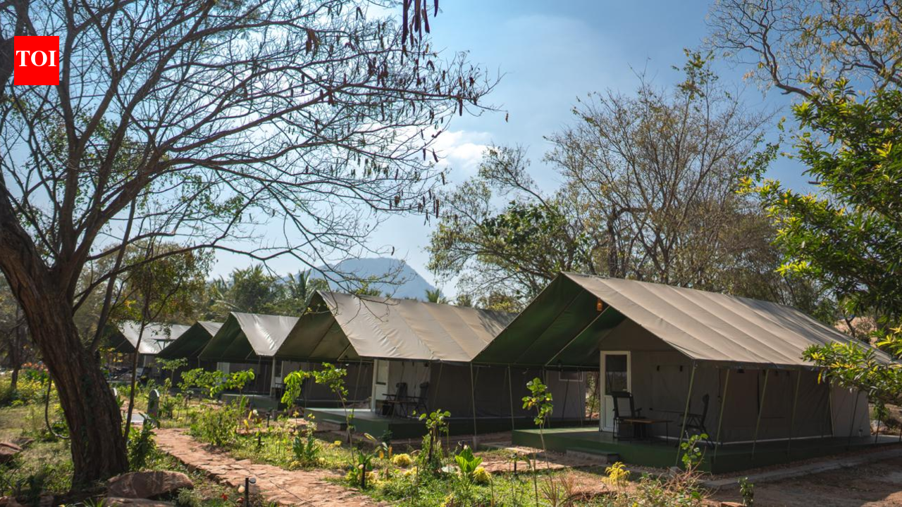 Tamil Nadu launches Luxury Tented Camp in Anamalai Tiger Reserve