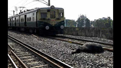 Electrical check completed on Mount-Velachery MRTS line in Chennai