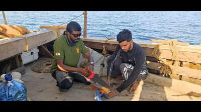 Man vs sea: How crew of INSV Kaundinya fought their way home after 39 days