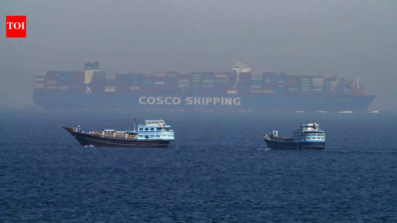 West Asia crisis: 38 Indian ships stuck in Persian Gulf; 3 sailors dead