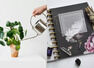 Where to place a money plant for prosperity