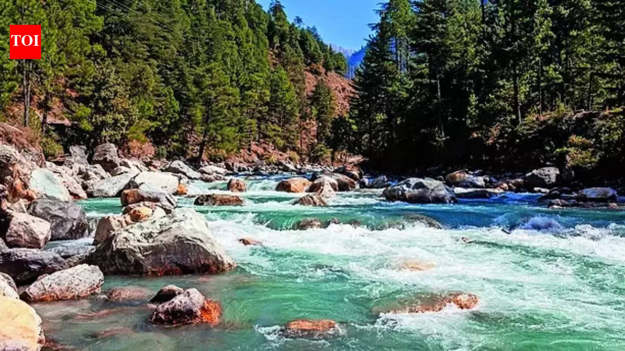 Iran war worry for Himachal Pradesh hoteliers: Will Israelis come this summer?