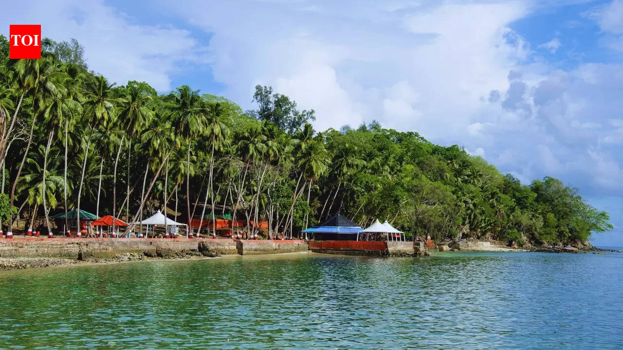 Roadside is piled with garbage…deeply disheartening; what followed was a conversation the Andamans needed