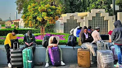 164 Maharashtra tourists stranded in UAE return on special flights, says Shiv Sena