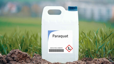 After Telangana teen’s death from paraquat poisoning, doctors and experts push for nationwide ban