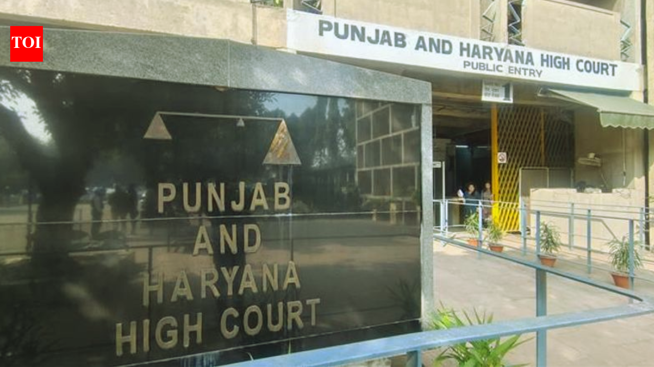 Punjab and Haryana high court permits meat sales in Shri Anandpur Sahib until ban is notified