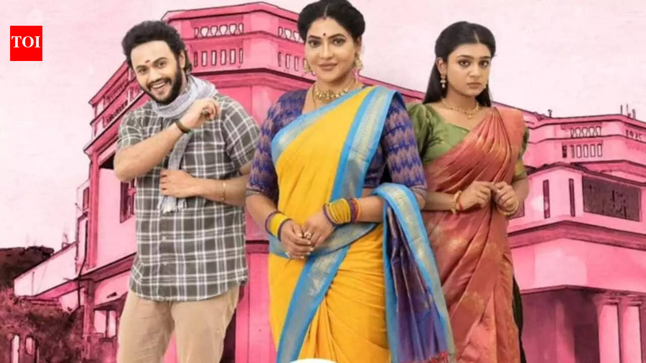 Avinash Ashok and Varshini Suresh starrer 'Magale En Marumagale' to go off-air soon