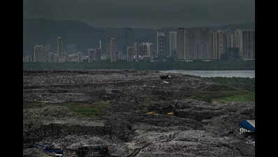 Panel to visit UAE, China, Japan for Kanjurmarg waste management: Bombay high court
