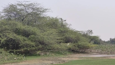 Puja performed a year ago to build reservoir in village near Namakkal, but work yet to start