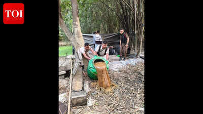 Golaghat cops destroy two dozen illicit liquor dens, seize 3000 litres of ‘sulai’