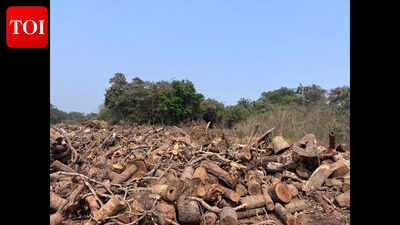 Carambolim landowner gets 1L fine for dumping waste