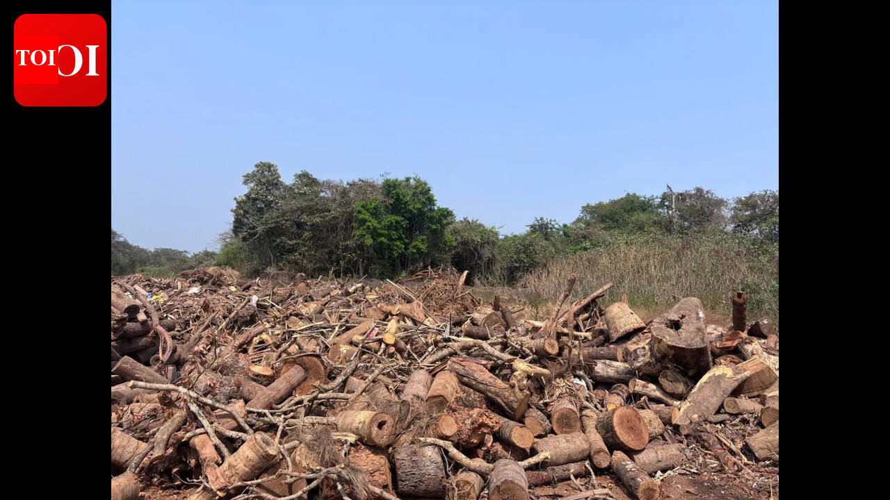 Carambolim landowner gets 1L fine for dumping waste