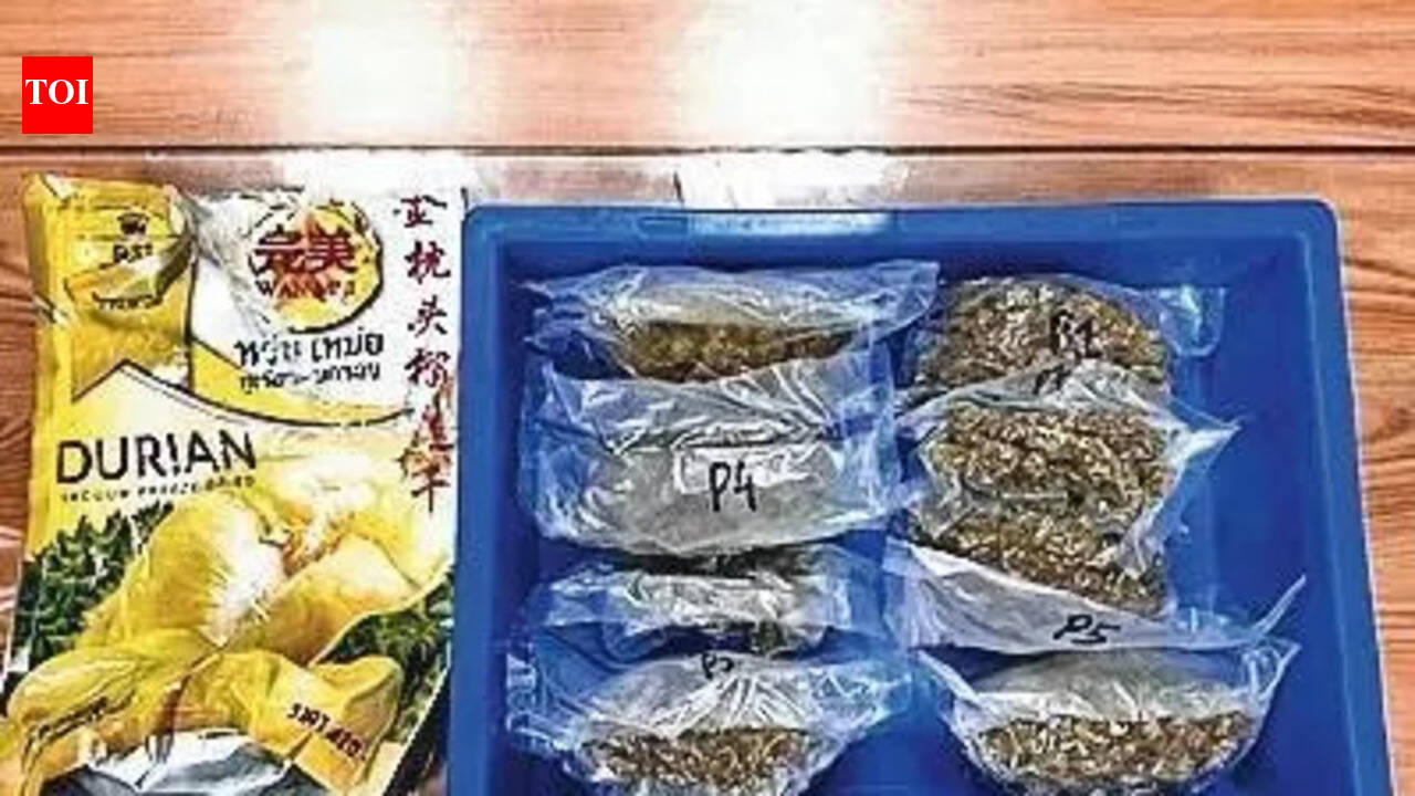 Pune Customs recovers hydroponic weed worth 74.5 lakh from lavatory of Air India Express flight from Bangkok