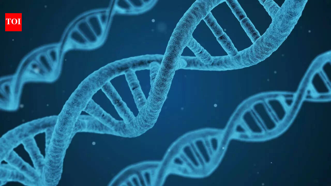 निएंडरथल द्वारा मारे गए घोड़े का 200,000 साल पुराना डीएनए जर्मनी में मिला जहां इसे जीवित नहीं रहना चाहिए था |