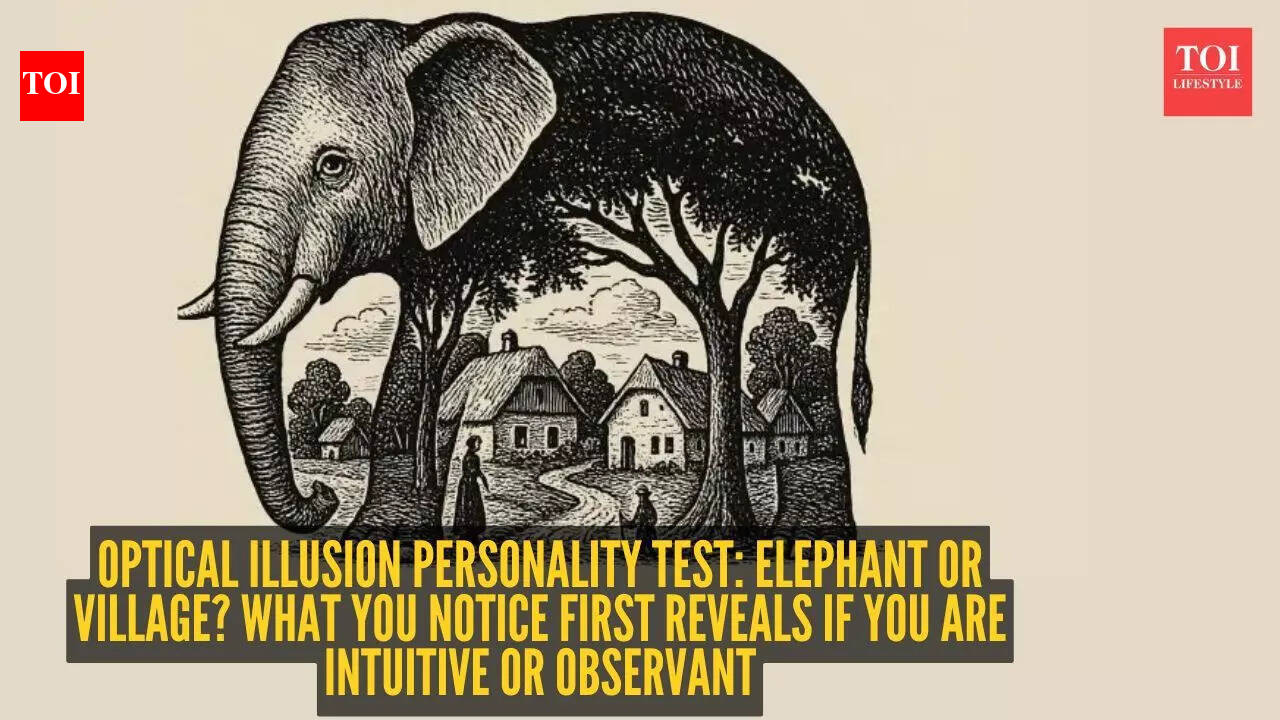 Optical illusion personality test: Elephant or village? What you notice first reveals if you are intuitive or observant