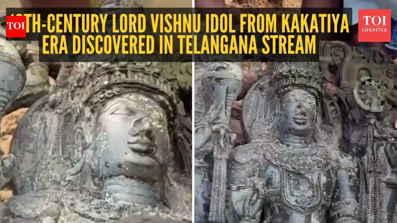 Watch: Hidden for centuries, 12th-century Lord Vishnu idol from Kakatiya era discovered in Telangana stream