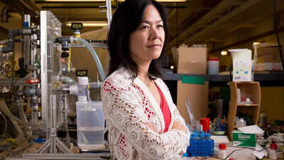 Meet Evelyn N. Wang: The scientist who wants to make every home produce its own water