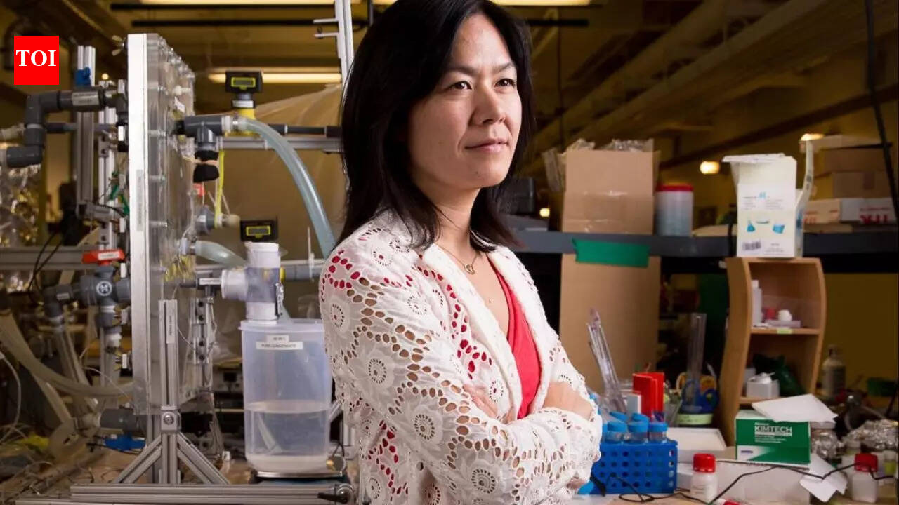 Meet Evelyn N. Wang: The scientist who wants to make every home produce its own water