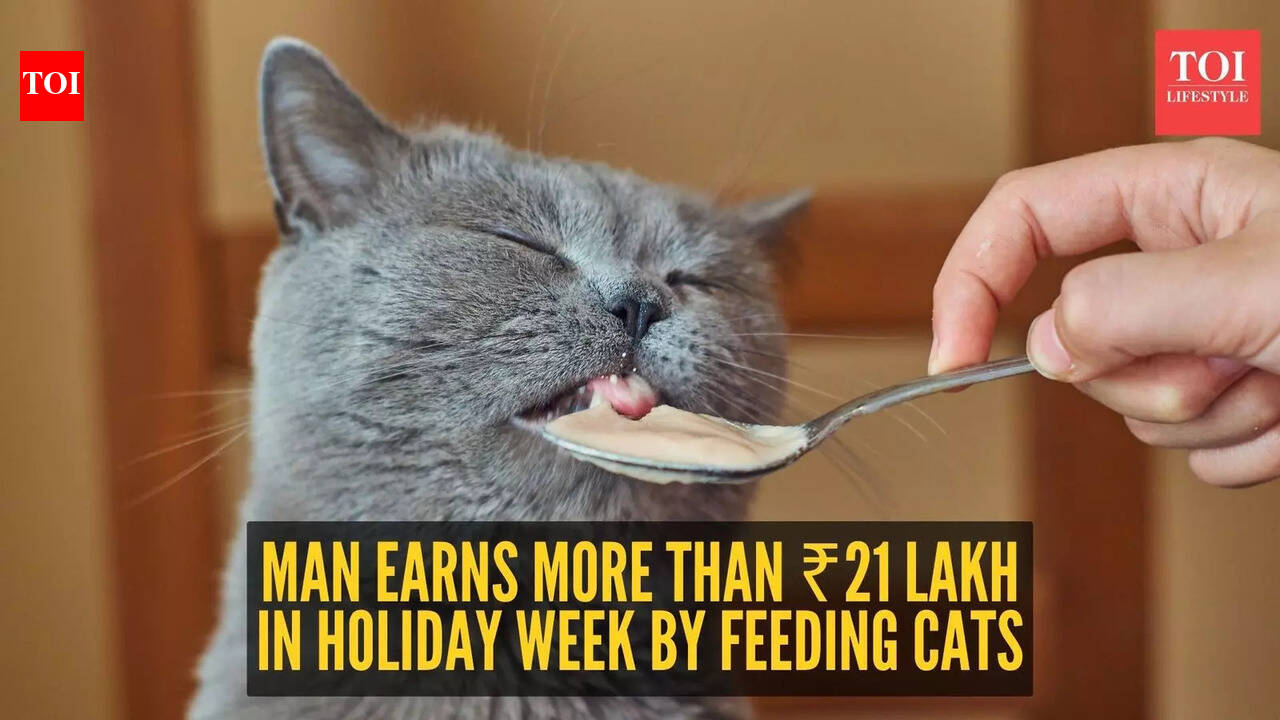 ₹21 lakh in 20 days: Man earns a fortune during the holiday season just by feeding cats; here’s his viral story