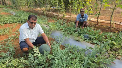 Pernem youth turns farming into fortune, leads self-reliant drive