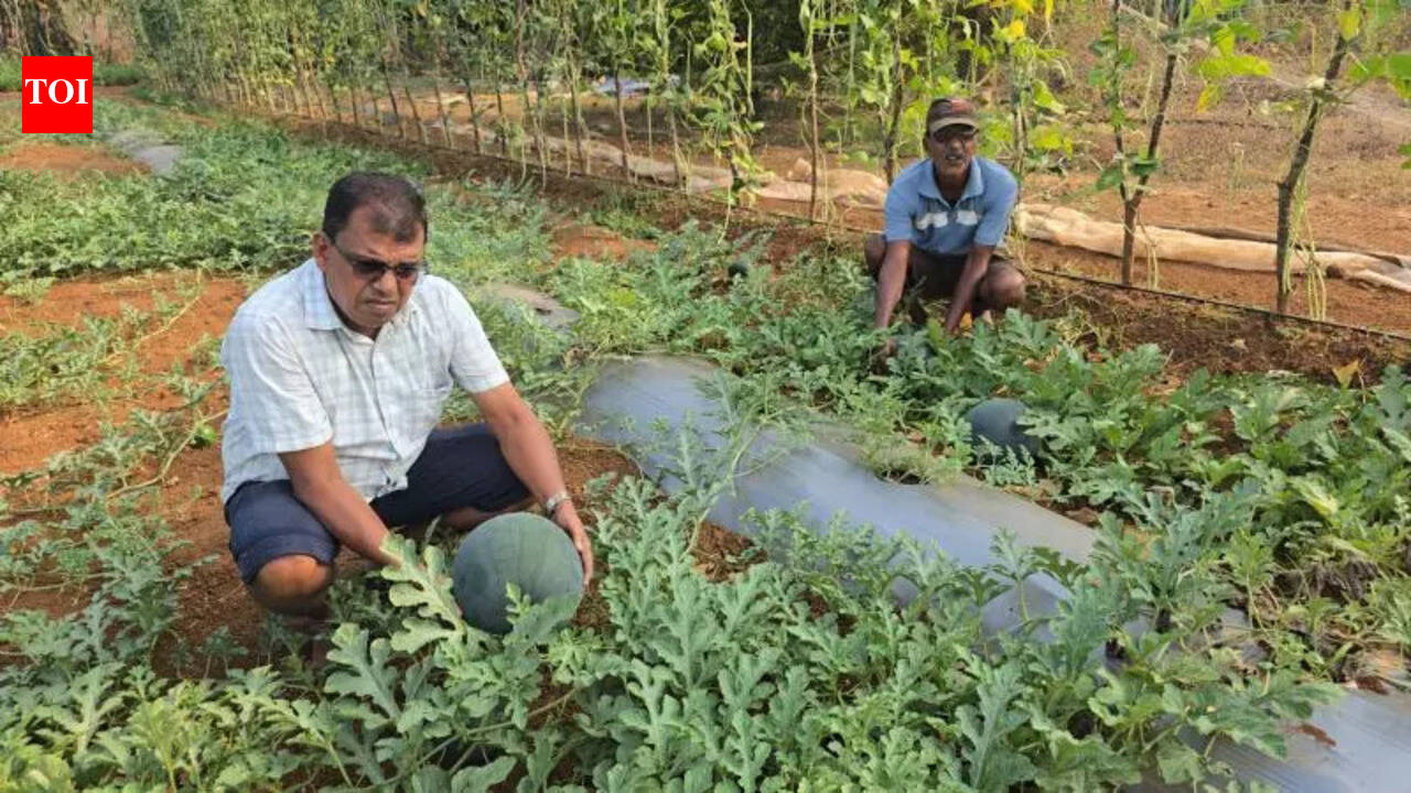 Pernem youth turns farming into fortune, leads self-reliant drive