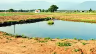 Puducherry proposes to repair, renovate and restore 78 irrigation tanks
