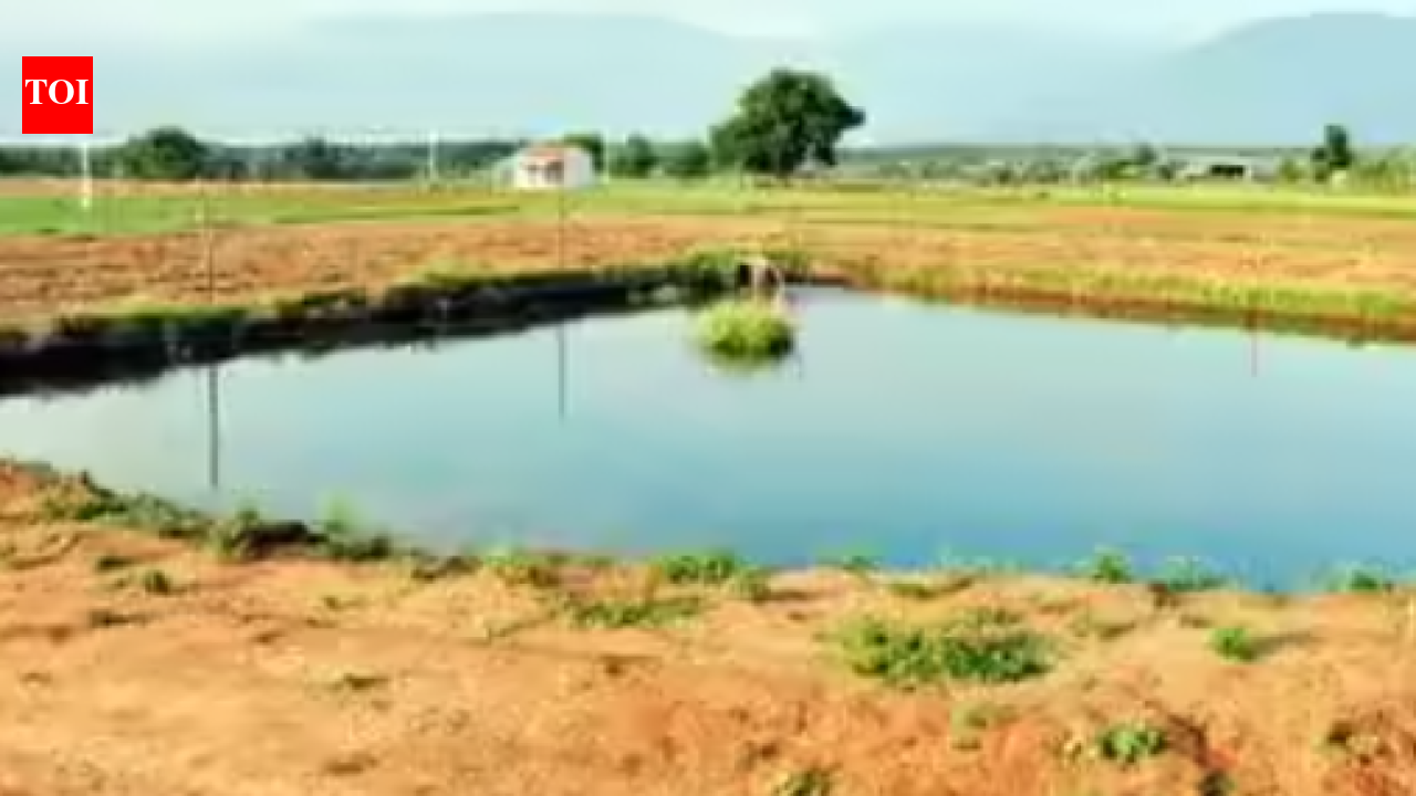 Puducherry proposes to repair, renovate and restore 78 irrigation tanks