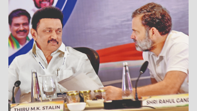  How Did Stalin Convince Congress to Accept 28 Seats?