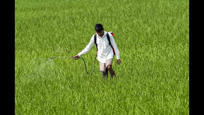 Agriculture and allied activities expected to grow at only 3.4% in Maharashtra