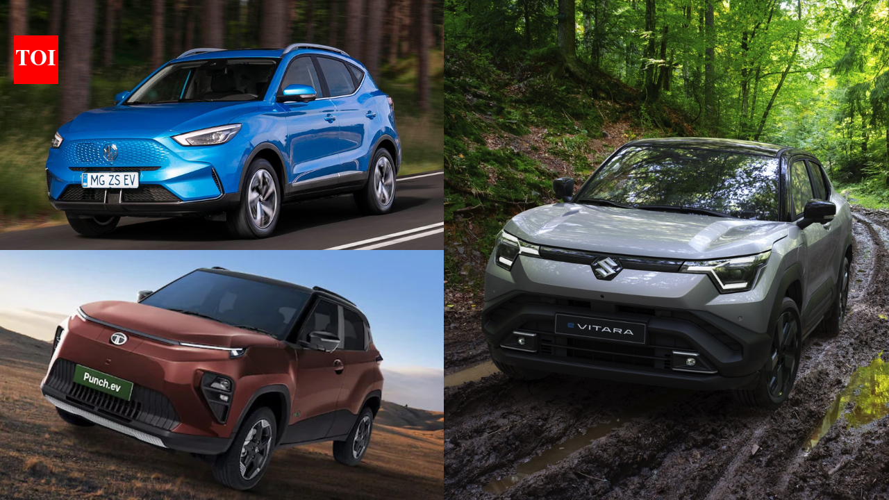 Electric cars in India available with BaaS schemes: Subscription plans explained