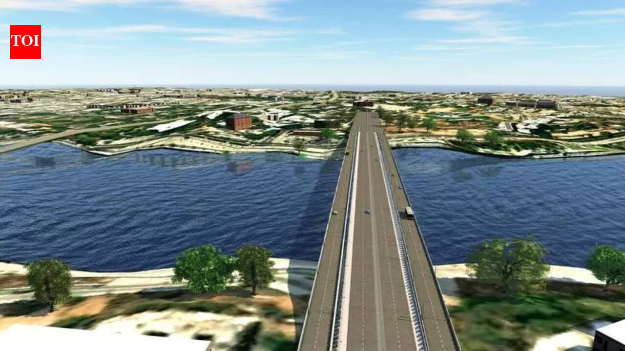 Subhash Bridge repair, new bridges get green signal | Ahmedabad News ...