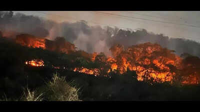 CMO orders probe into massive forest fire at Belapur Hills in Navi Mumbai