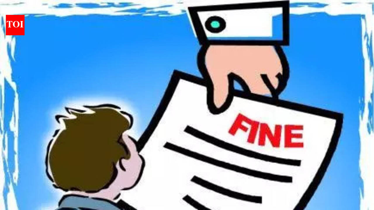 Consumer panel fines restaurant ₹10,000 for deficient service