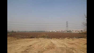 Dying Narela lake to get Delhi’s first meadow park after revamp