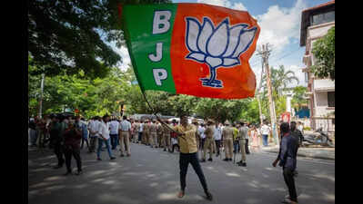 RSS, BJP coordination meets back on table to ensure 3rd term for BJP govt