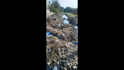 Mosquito menace sparks health fears in Bolarum