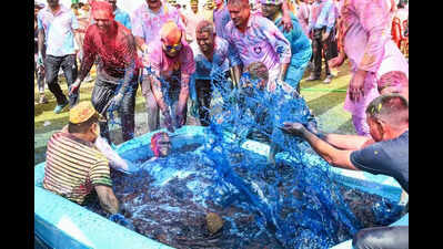 City celebrates Holi with flower petals, gulal