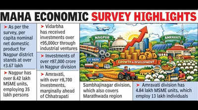 Nagpur, Amravati Emerge As Growth Drivers Of Maha