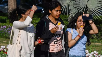 Delhi records season’s hottest day at 34.3°c, 7°c above normal; night temperatures up too