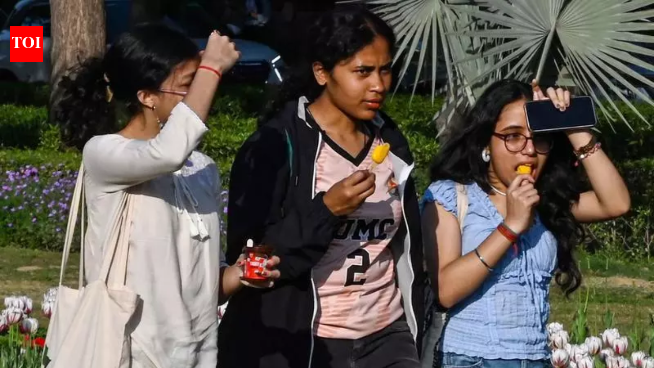 Delhi records season’s hottest day at 34.3°c, 7°c above normal; night temperatures up too